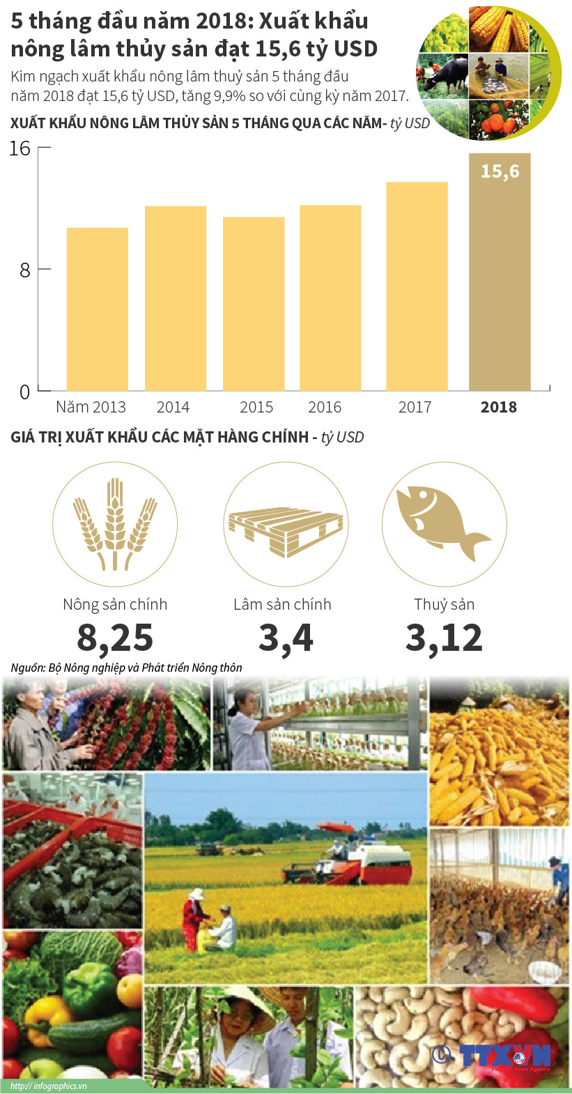 [Infographics] Xuất khẩu nông lâm thủy sản đạt 15,6 tỷ USD ảnh 1