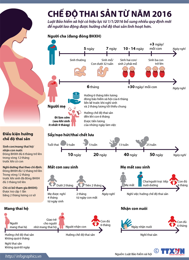 [Infographics] Nhiều quy định mới về chế độ thai sản từ năm 2016 ảnh 1