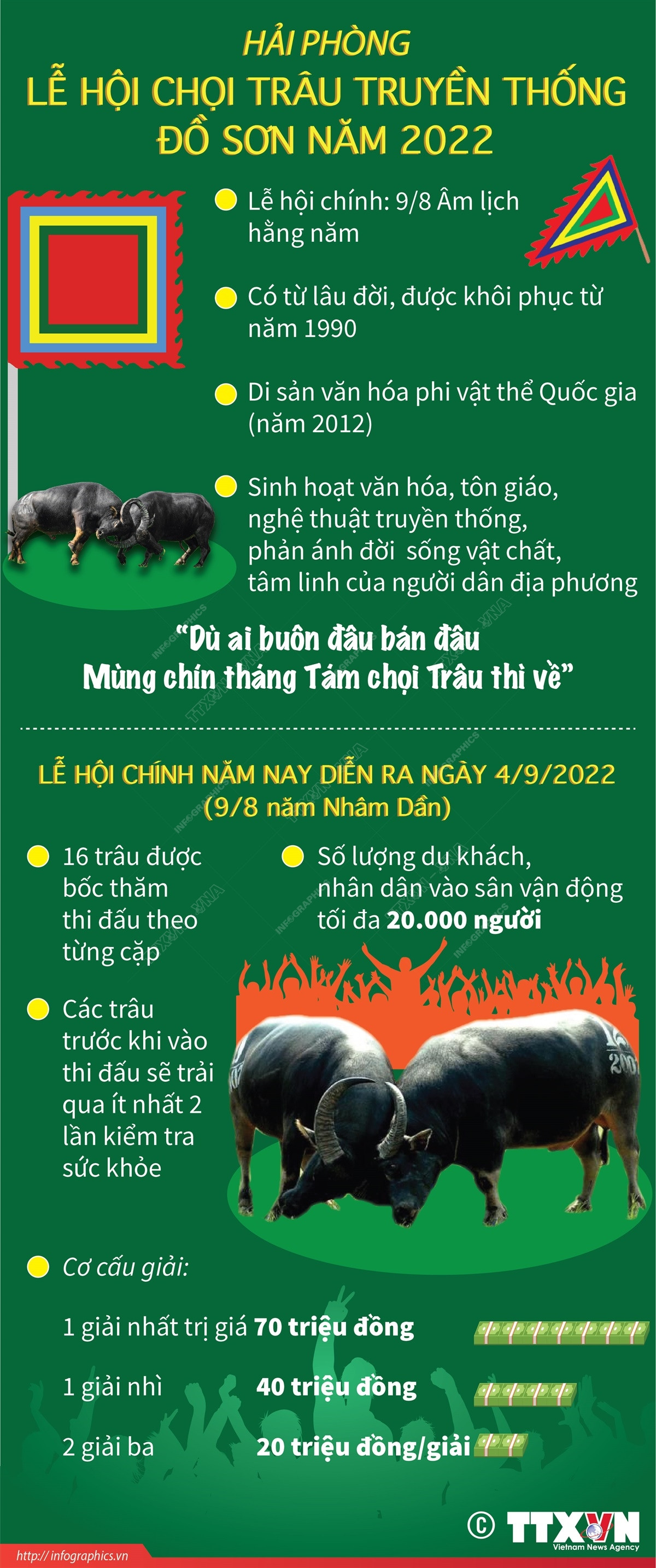 [Infographics] Đặc sắc Lễ hội chọi trâu truyền thống Đồ Sơn 2022 ảnh 1