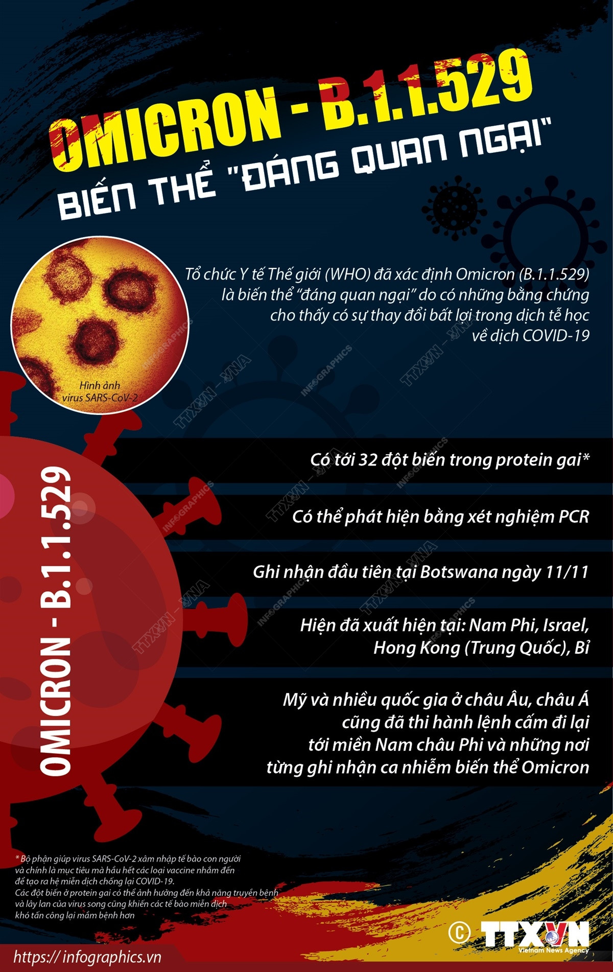 [Infographics] Omicron - B.1.1.529: Biến thể 'đáng quan ngại' ảnh 1