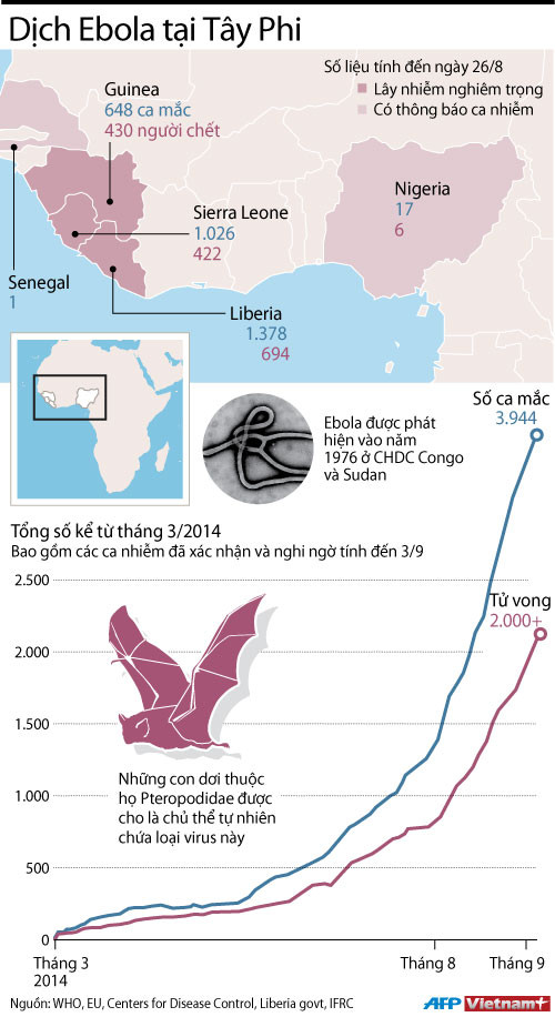 [Infographics] Đại dịch Ebola tại Tây Phi ngày càng nghiêm trọng ảnh 1