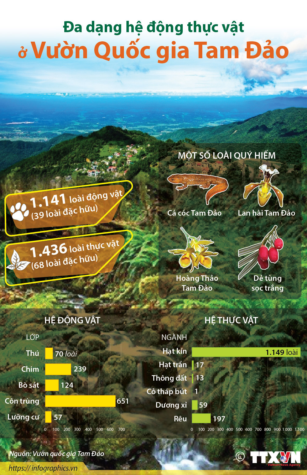 [Infographics] Đa dạng hệ động thực vật ở Vườn Quốc gia Tam Đảo ảnh 1