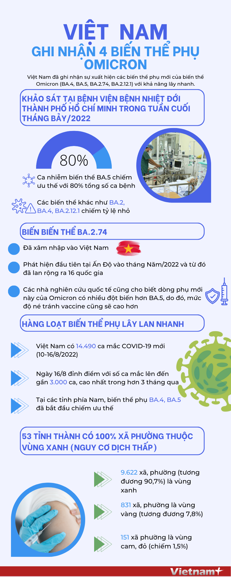 [Infographics] Việt Nam ghi nhận 4 biến thể phụ của Omicron ảnh 1