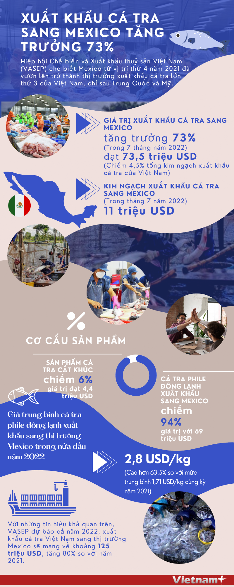 [Infographics] Xuất khẩu cá tra sang thị trường Mexico tăng trưởng 73% ảnh 1