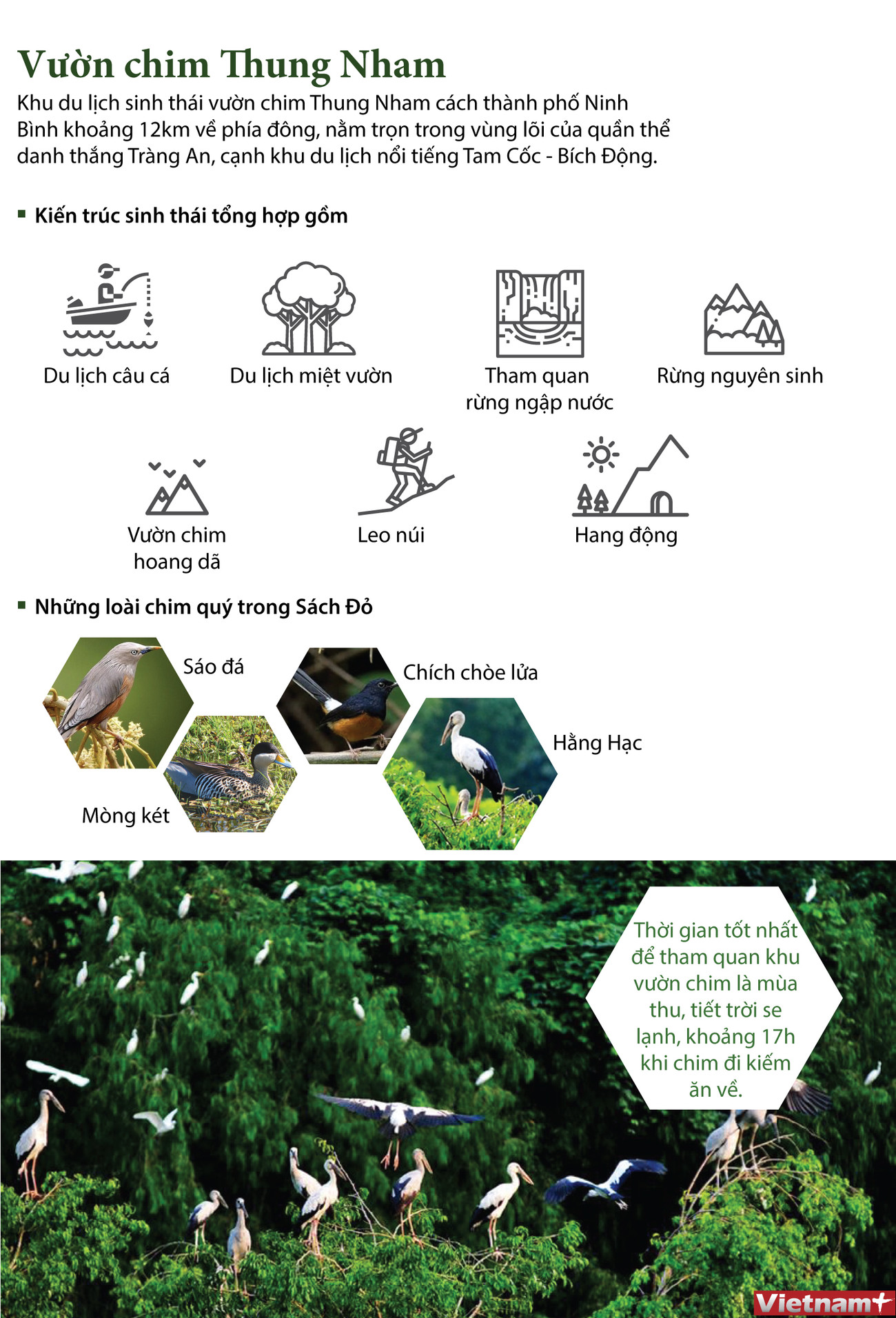 Khám phá khu du lịch sinh thái vườn chim Thung Nham ảnh 1