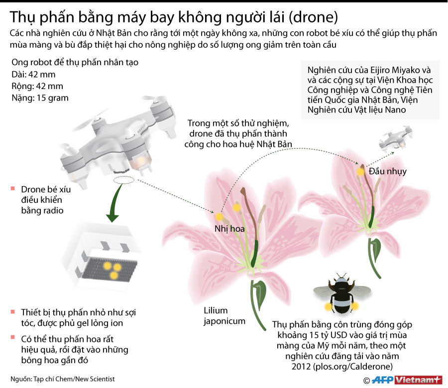 [Infographics] Máy bay không người lái có thể thay thế loài ong ảnh 1