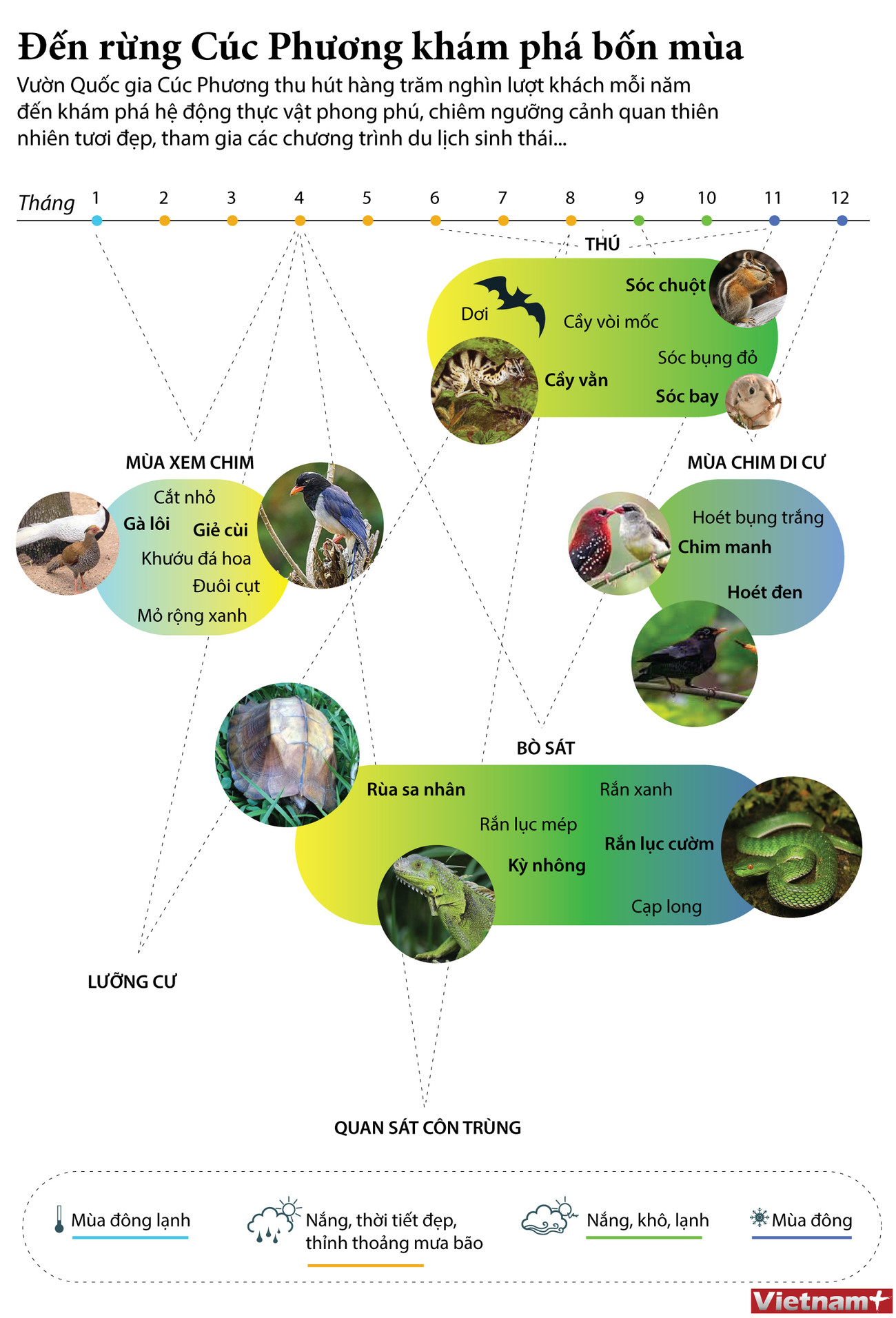 [Infographics] Đến Vườn quốc gia Cúc Phương khám phá bốn mùa ảnh 1