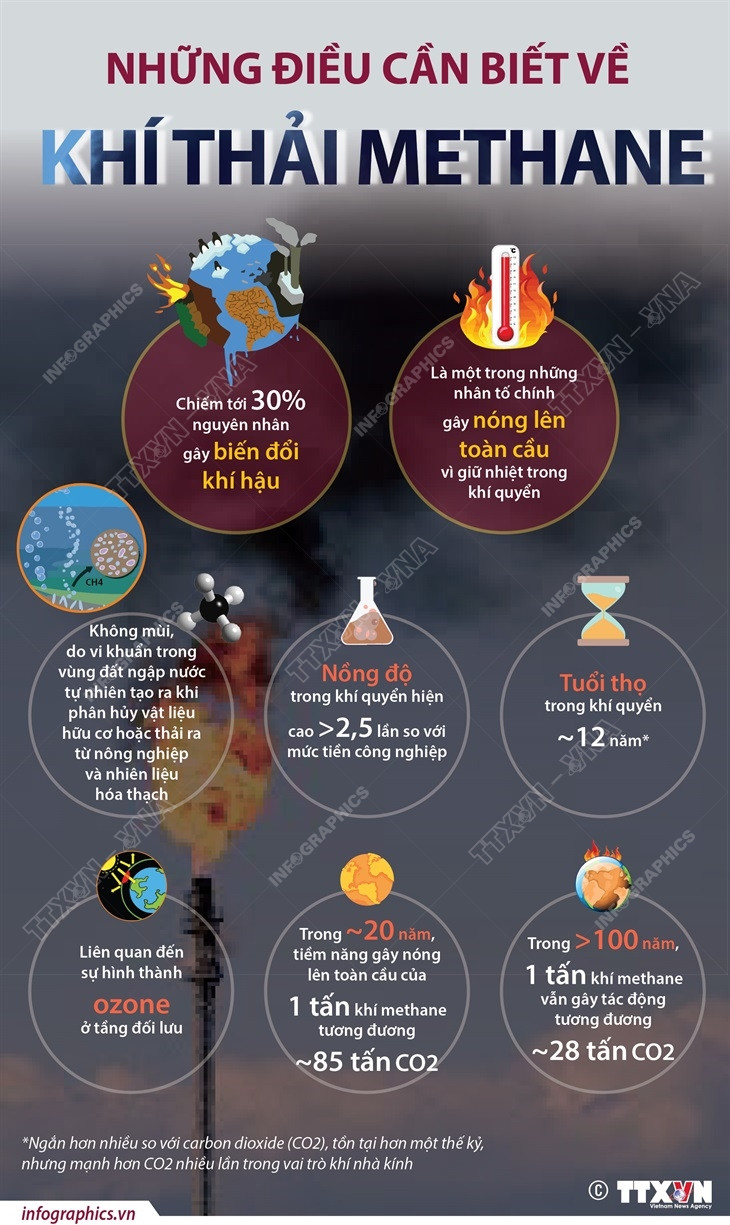 Ứng phó với biến đổi khí hậu: Những điều cần biết về khí thải methane ảnh 1