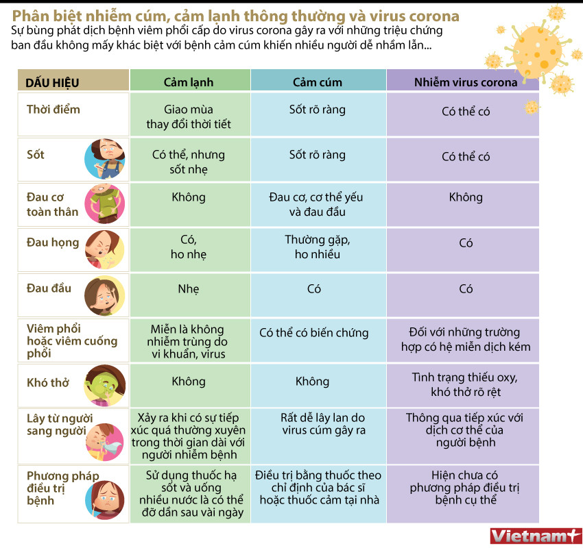 [Infographics] Phân biệt giữa nhiễm virus corona và cảm cúm, cảm lạnh ảnh 1