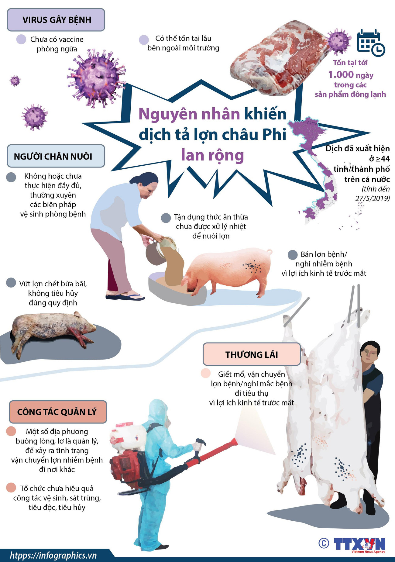 [Infographics] Nguyên nhân khiến dịch tả lợn châu Phi lan rộng ảnh 1