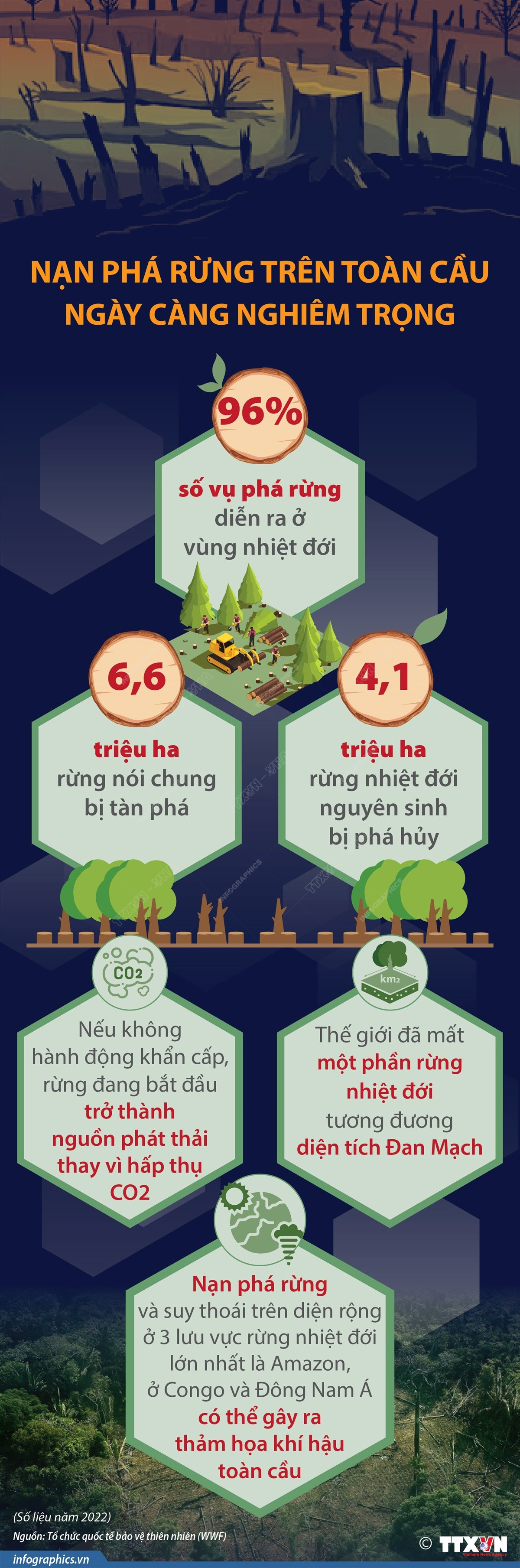 [Infographics] Thế giới sẽ phải trả giá nếu không ngăn chặn phá rừng ảnh 1