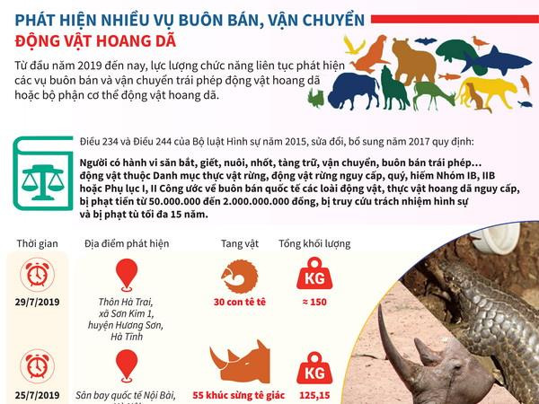 [Infographics] Những vụ buôn bán động vật hoang dã lớn bị triệt phá ảnh 2