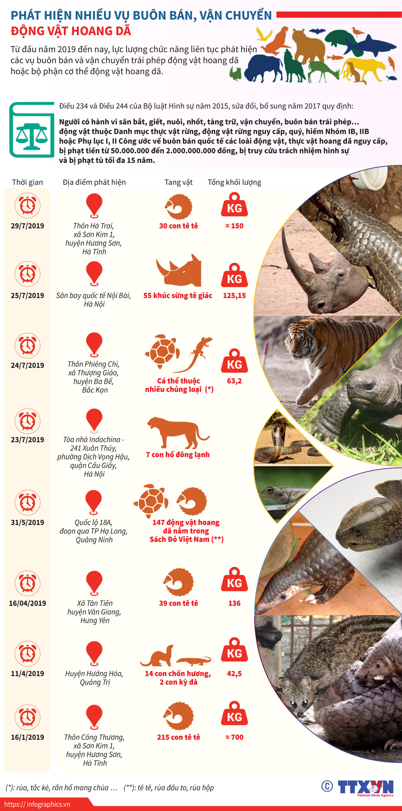 [Infographics] Những vụ buôn bán động vật hoang dã lớn bị triệt phá ảnh 1