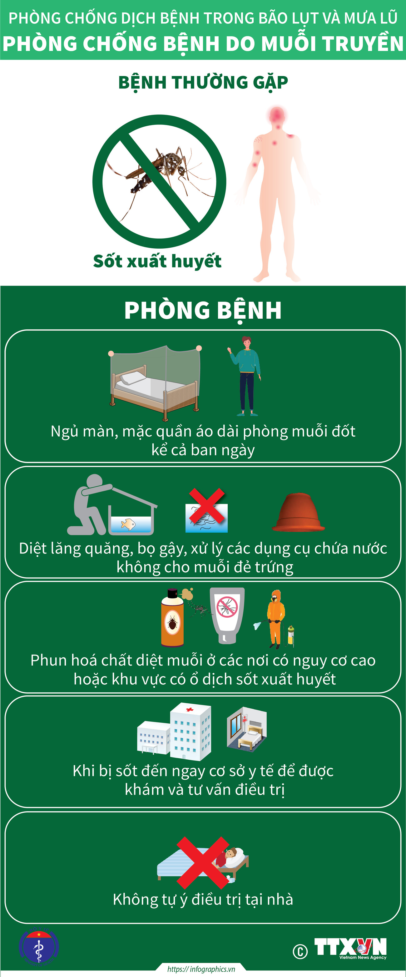 [Infographics] Phòng chống dịch bệnh trong bão lụt và mưa lũ ảnh 2