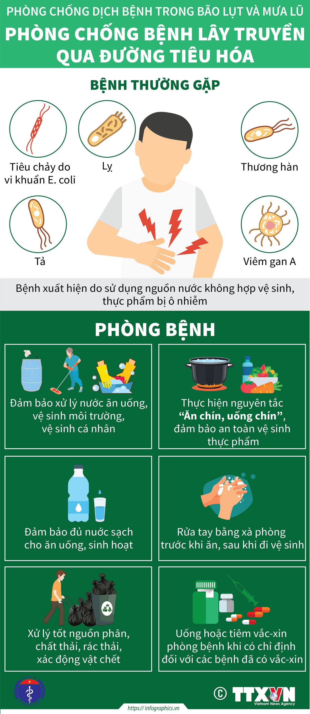 [Infographics] Phòng chống dịch bệnh trong bão lụt và mưa lũ ảnh 3