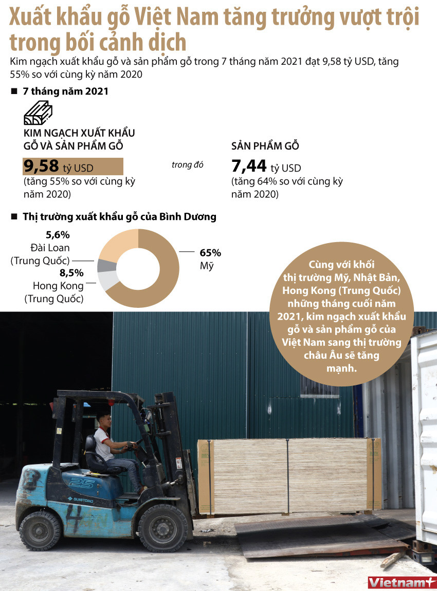 [Infographics] Kim ngạch xuất khẩu gỗ và sản phẩm gỗ đạt 9,58 tỷ USD ảnh 1