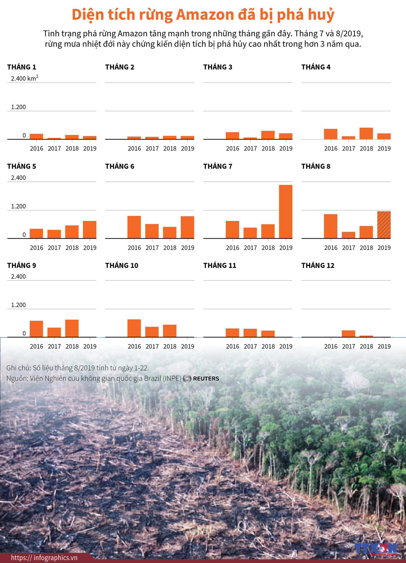 [Infographics] Diện tích rừng Amazon bị phá hủy trong hơn 3 năm qua ảnh 1