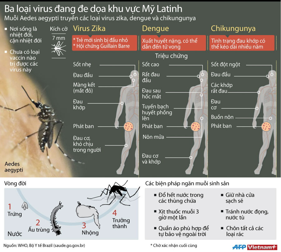[Infographics] Ba loại virus đang đe dọa khu vực Mỹ Latinh ảnh 1