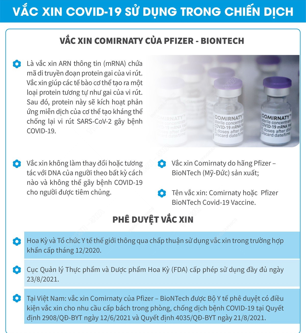[Infographics] Chiến dịch tiêm vaccine COVID-19 cho trẻ em 12-17 tuổi ảnh 3