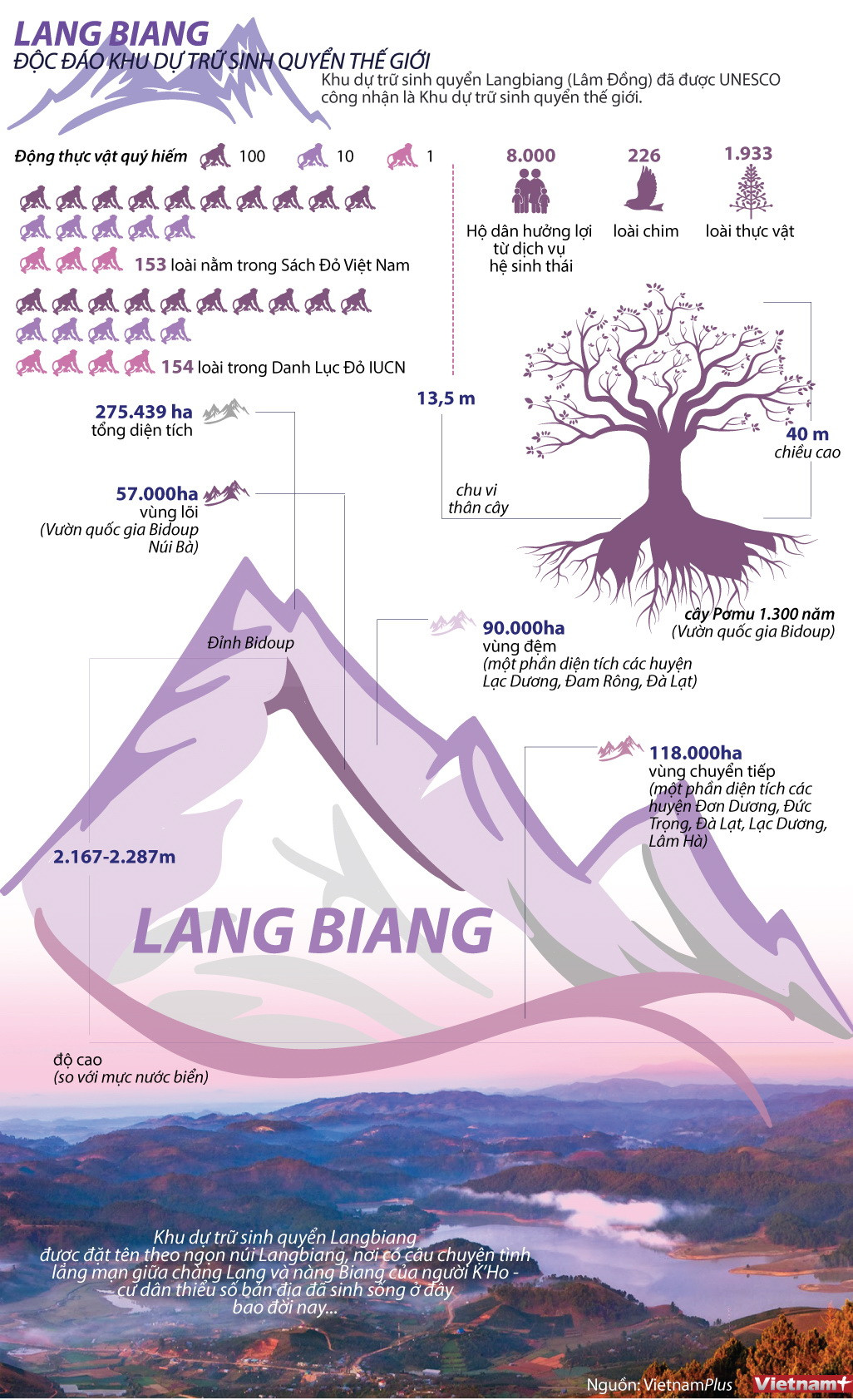 [Infographics] Vẻ đẹp của Khu dự trữ sinh quyển Langbiang ảnh 1