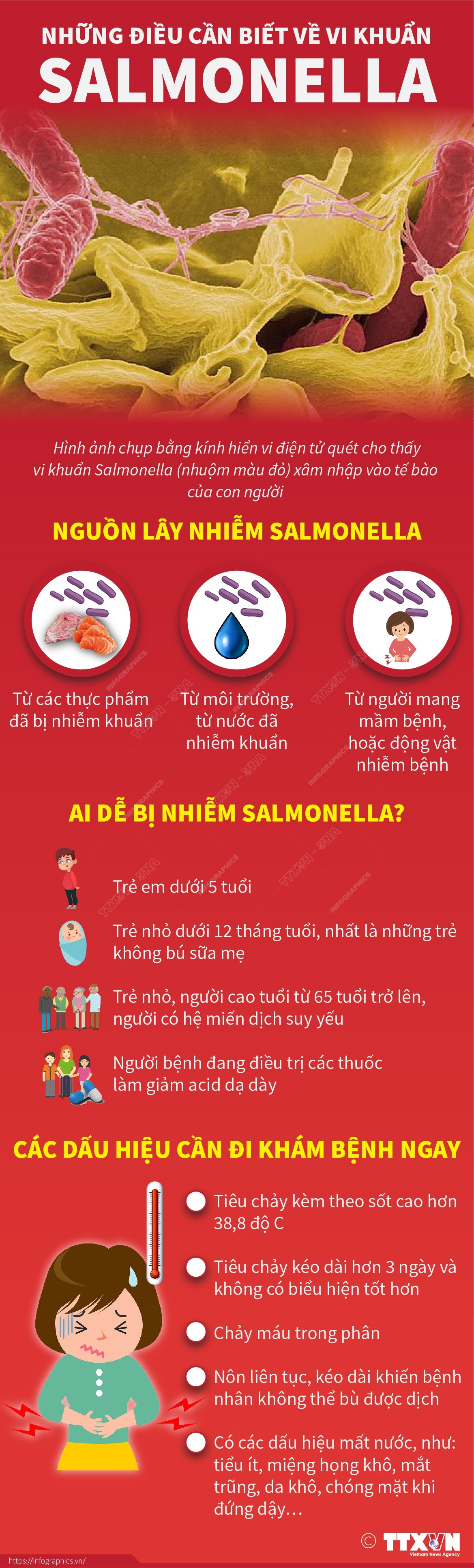 [Infographics] Những điều cần biết về vi khuẩn Salmonella ảnh 1