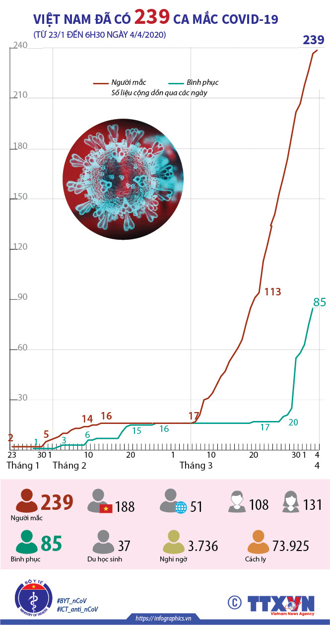 [Infographics] Việt Nam ghi nhận 239 trường hợp mắc bệnh COVID-19 ảnh 1