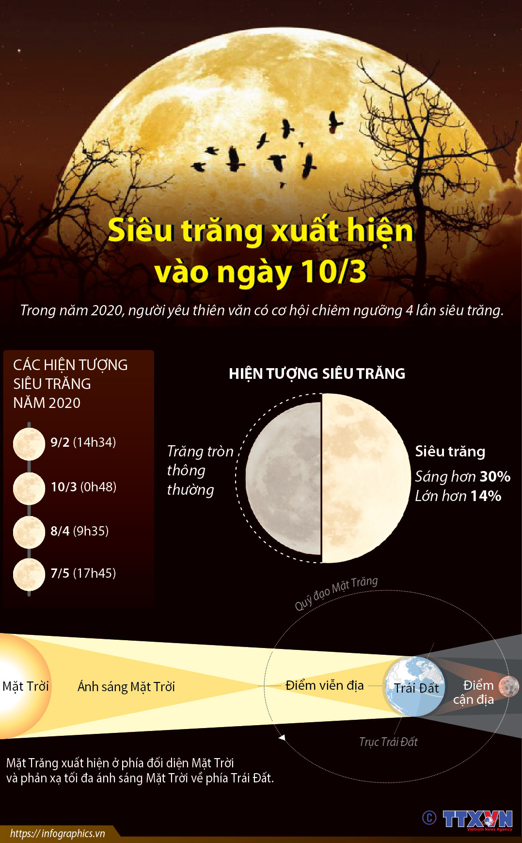 [Infographics] Đón xem siêu trăng xuất hiện vào ngày 10/3 ảnh 1