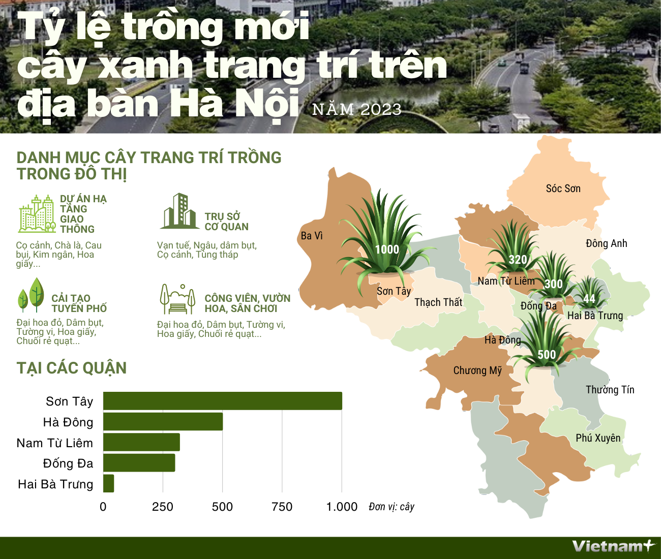 [Infographics] Tỷ lệ trồng mới cây xanh trang trí trên địa bàn Hà Nội ảnh 1