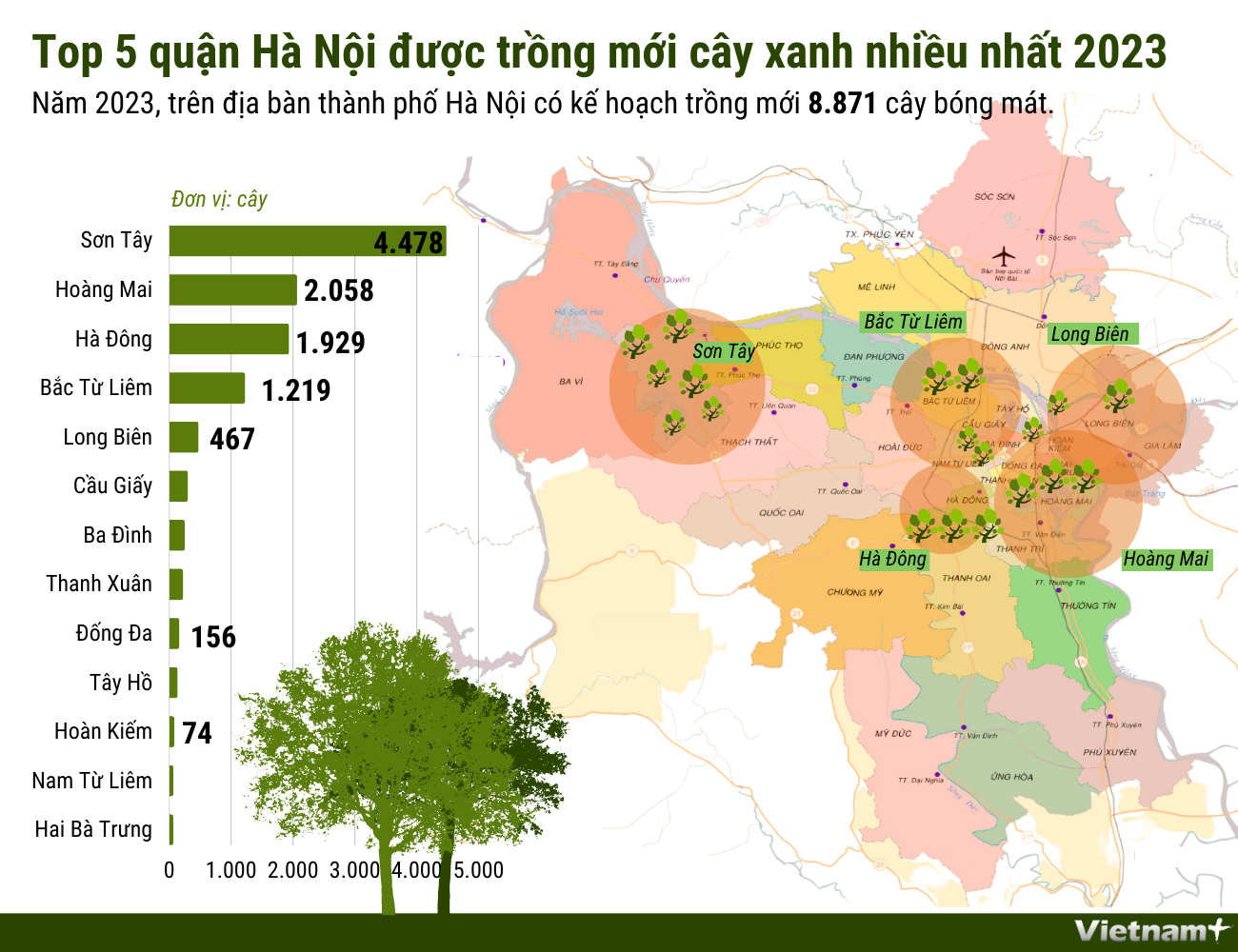 Top 5 quận Hà Nội được trồng mới cây xanh nhiều nhất trong năm 2023 ảnh 1