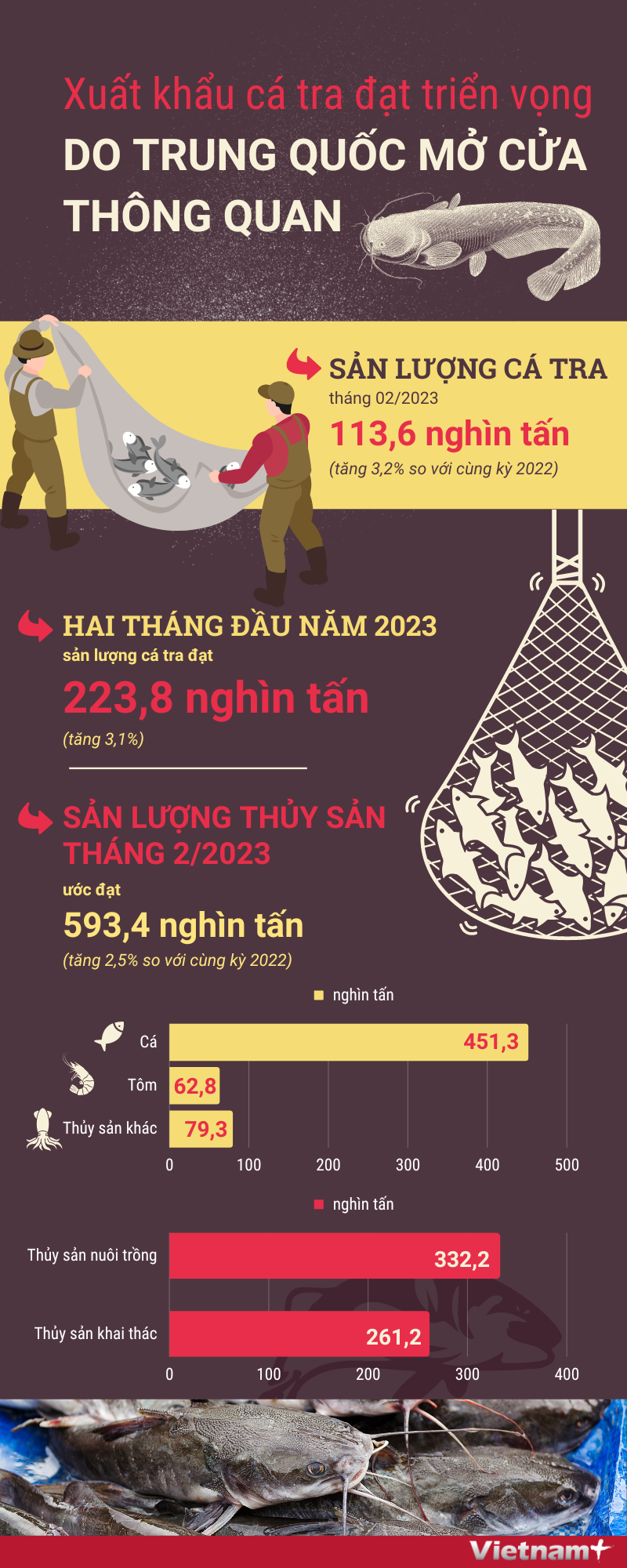 Xuất khẩu cá tra đạt nhiều triển vọng trong 2 tháng đầu năm 2023 ảnh 1
