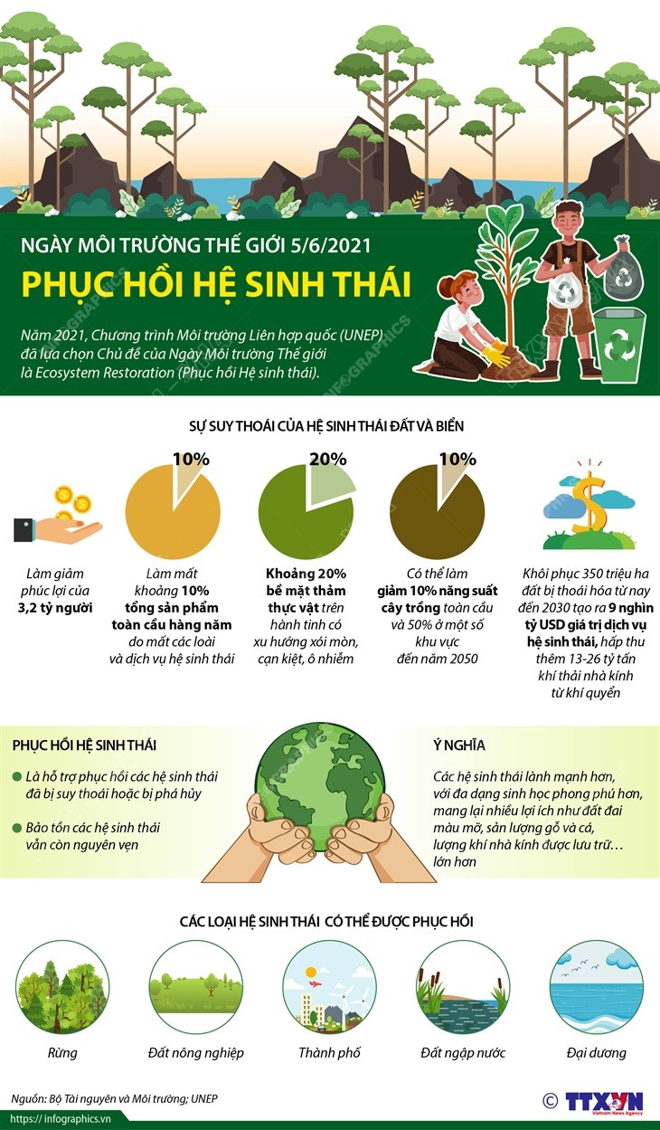 [Infographics] Ngày Môi trường Thế giới 5/6: Phục hồi hệ sinh thái ảnh 1