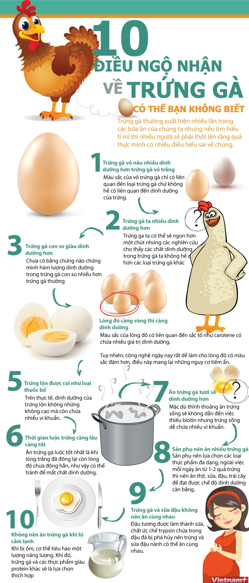 [Infographics] 10 điều ngộ nhận về trứng gà của người nội trợ ảnh 1
