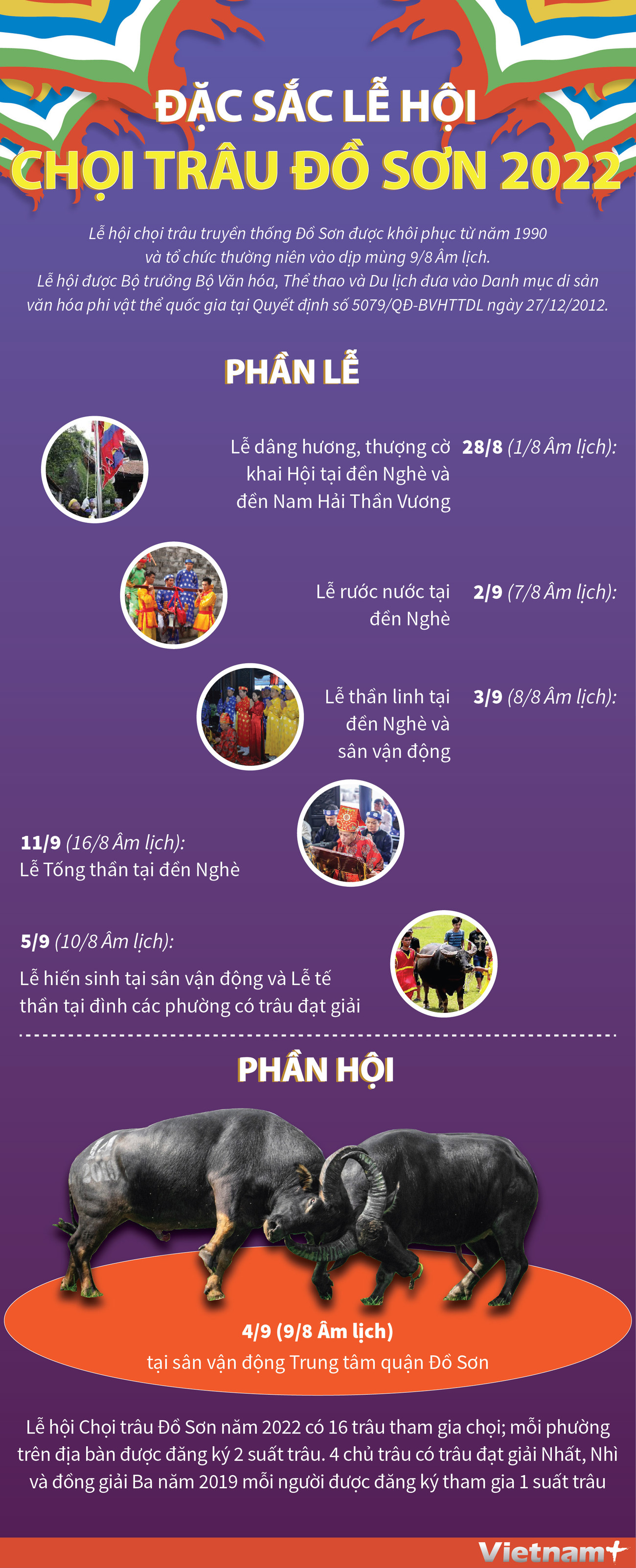 [Infographics] Đặc sắc lễ hội chọi trâu truyền thống Đồ Sơn 2022 ảnh 1