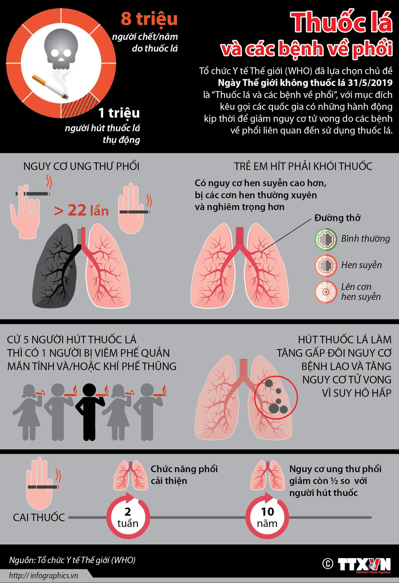 [Infographics] Thuốc lá và nguy cơ tử vong do các bệnh về phổi ảnh 1