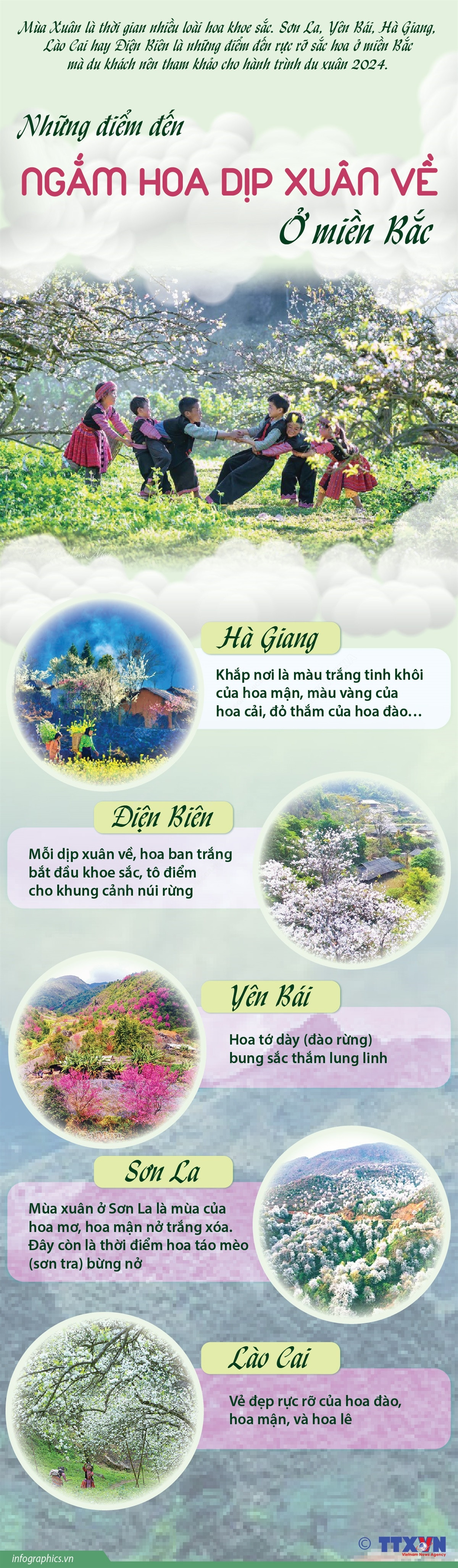 Infographics_ngam hoa 1.jpg