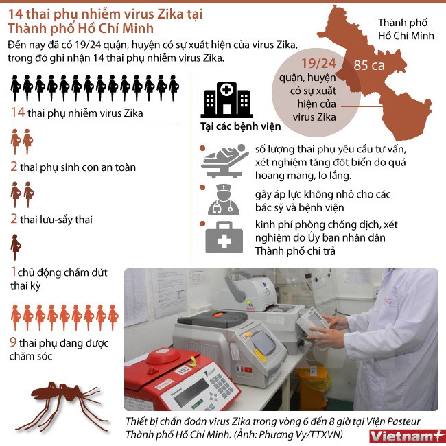[Infographics] 14 thai phụ nhiễm virus Zika tại Thành phố Hồ Chí Minh ảnh 1