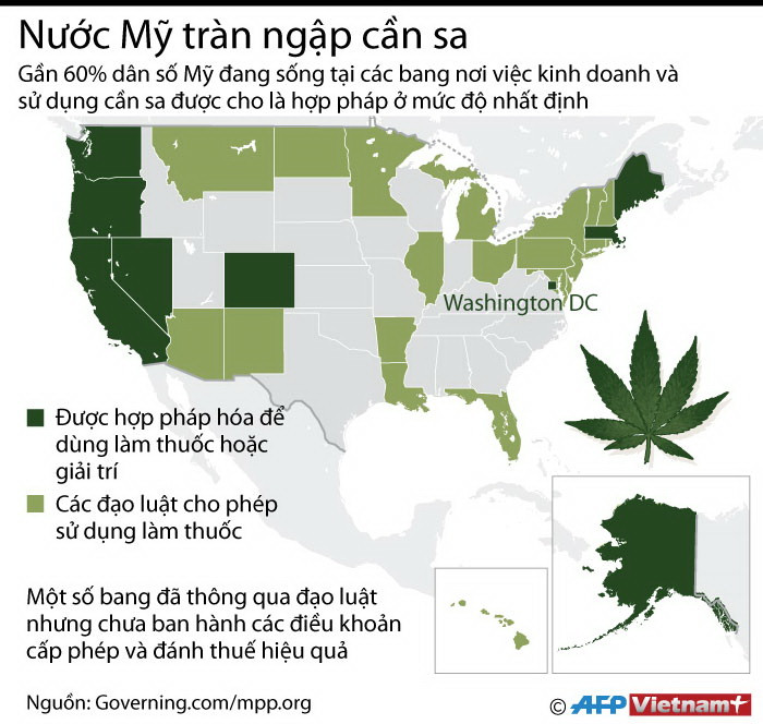 [Infographics] Gần 60% dân số Mỹ đang "sống chung" với cần sa ảnh 1