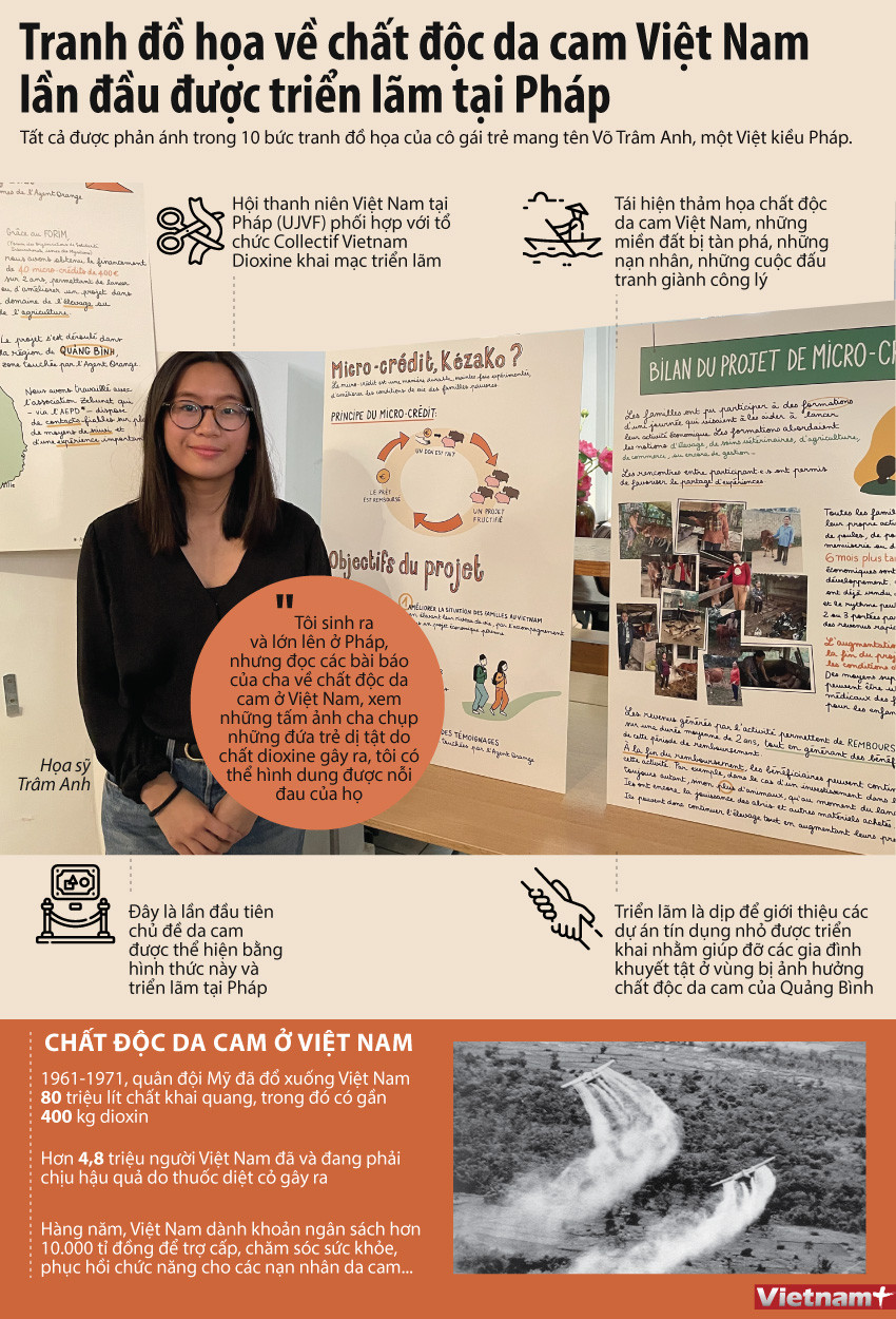 Họa sỹ Pháp gây chú ý với tranh đồ họa về chất độc da cam ở Việt Nam ảnh 1