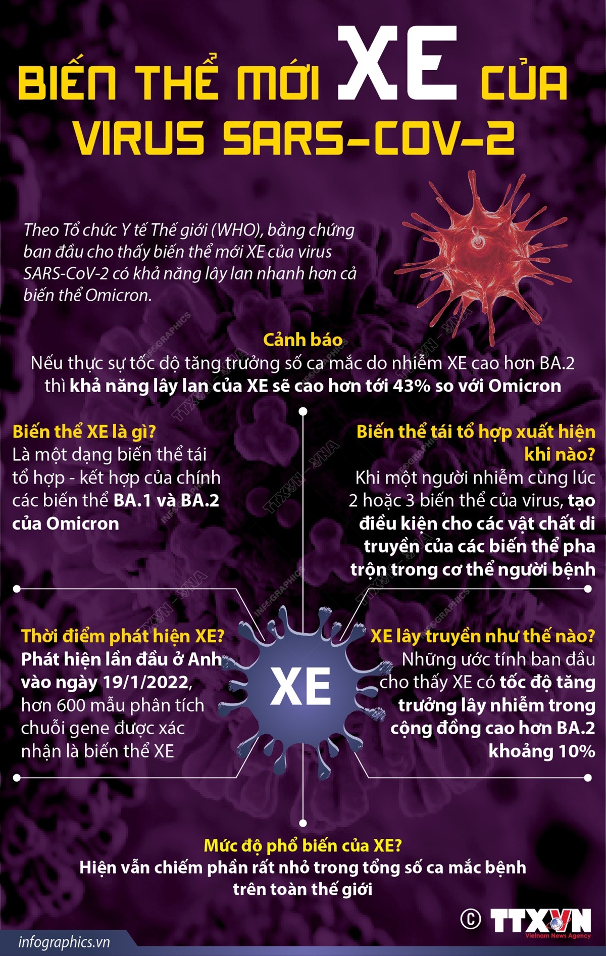 [Infographics] Biến thể mới XE của virus SARS-CoV-2 ảnh 1
