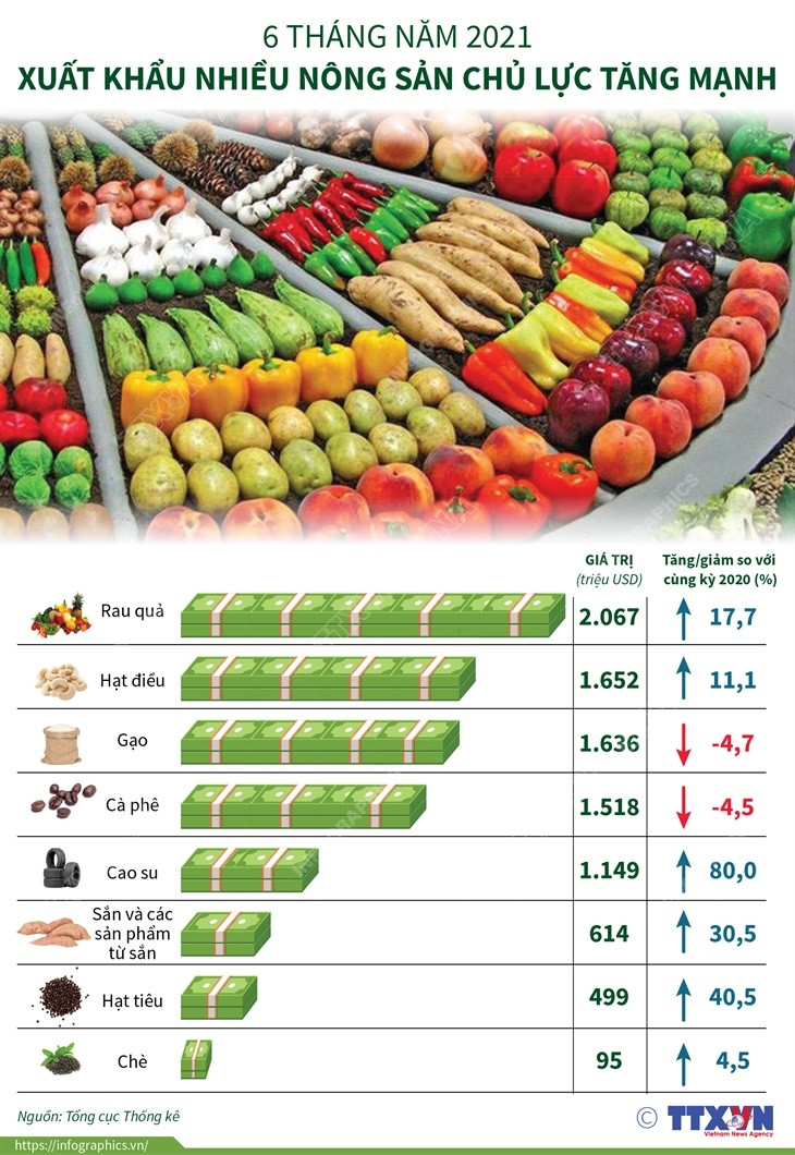 Sáu tháng đầu năm: Xuất khẩu nhiều nông sản chủ lực tăng mạnh ảnh 1