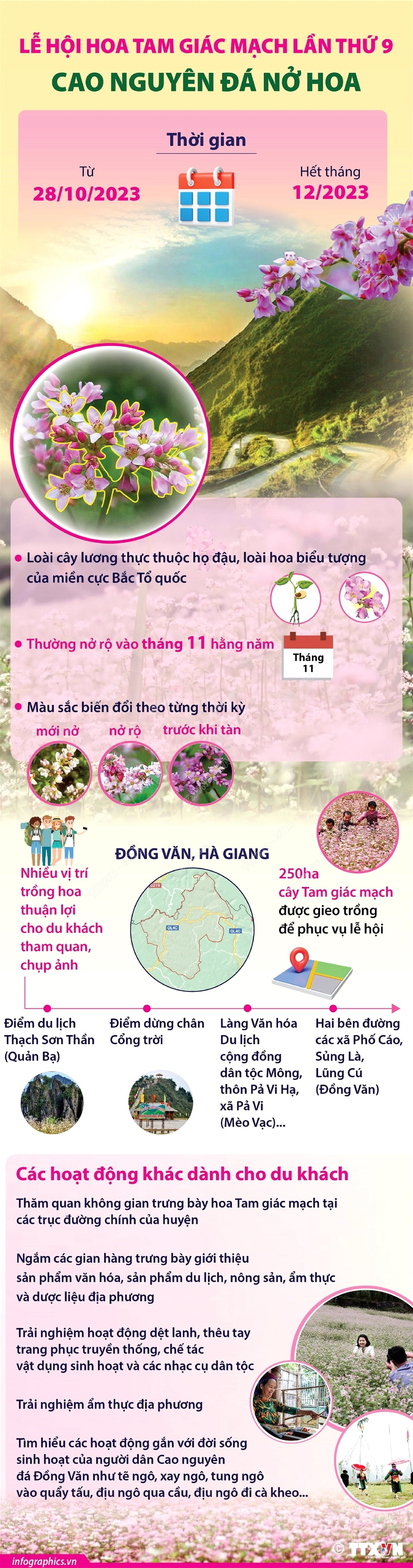 Lễ hội hoa Tam giác mạch lần thứ 9 - Cao nguyên đá nở hoa ảnh 1
