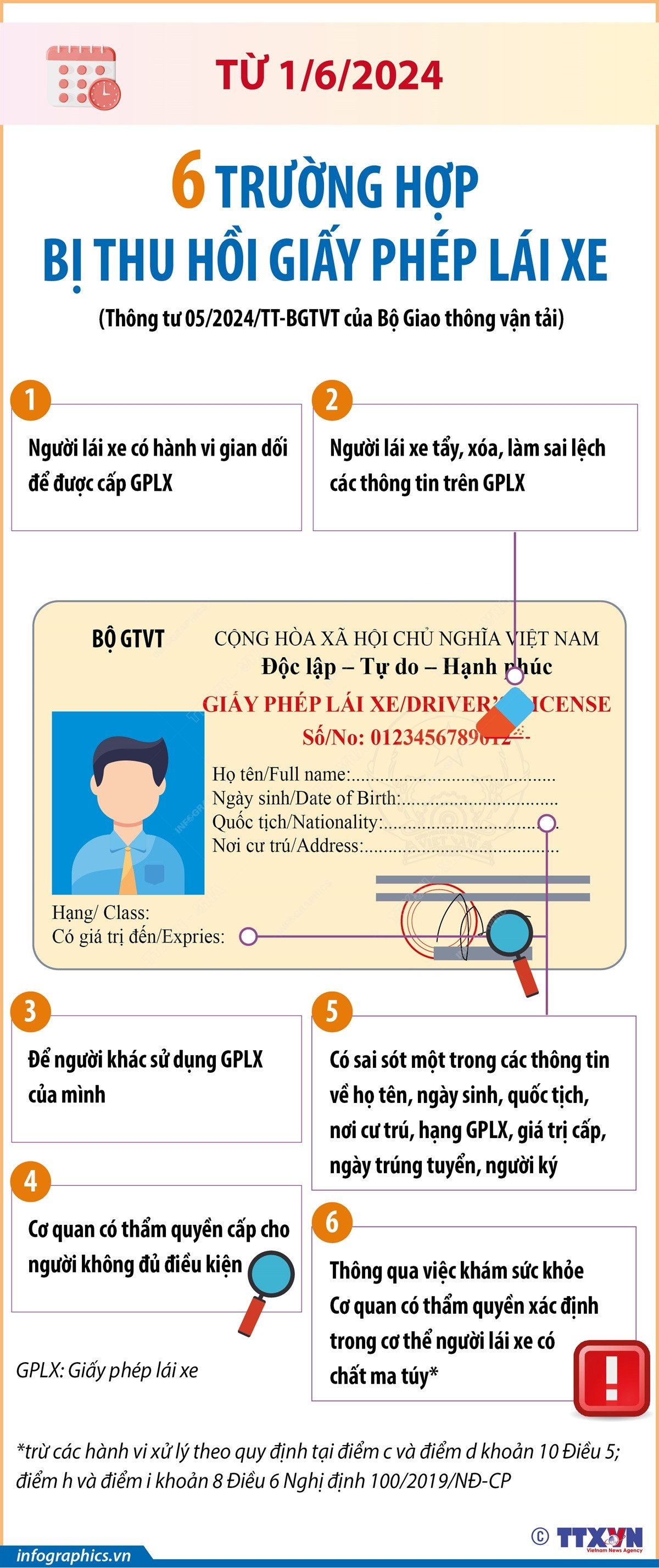 Infographics_giay phep lai xe.jpg
