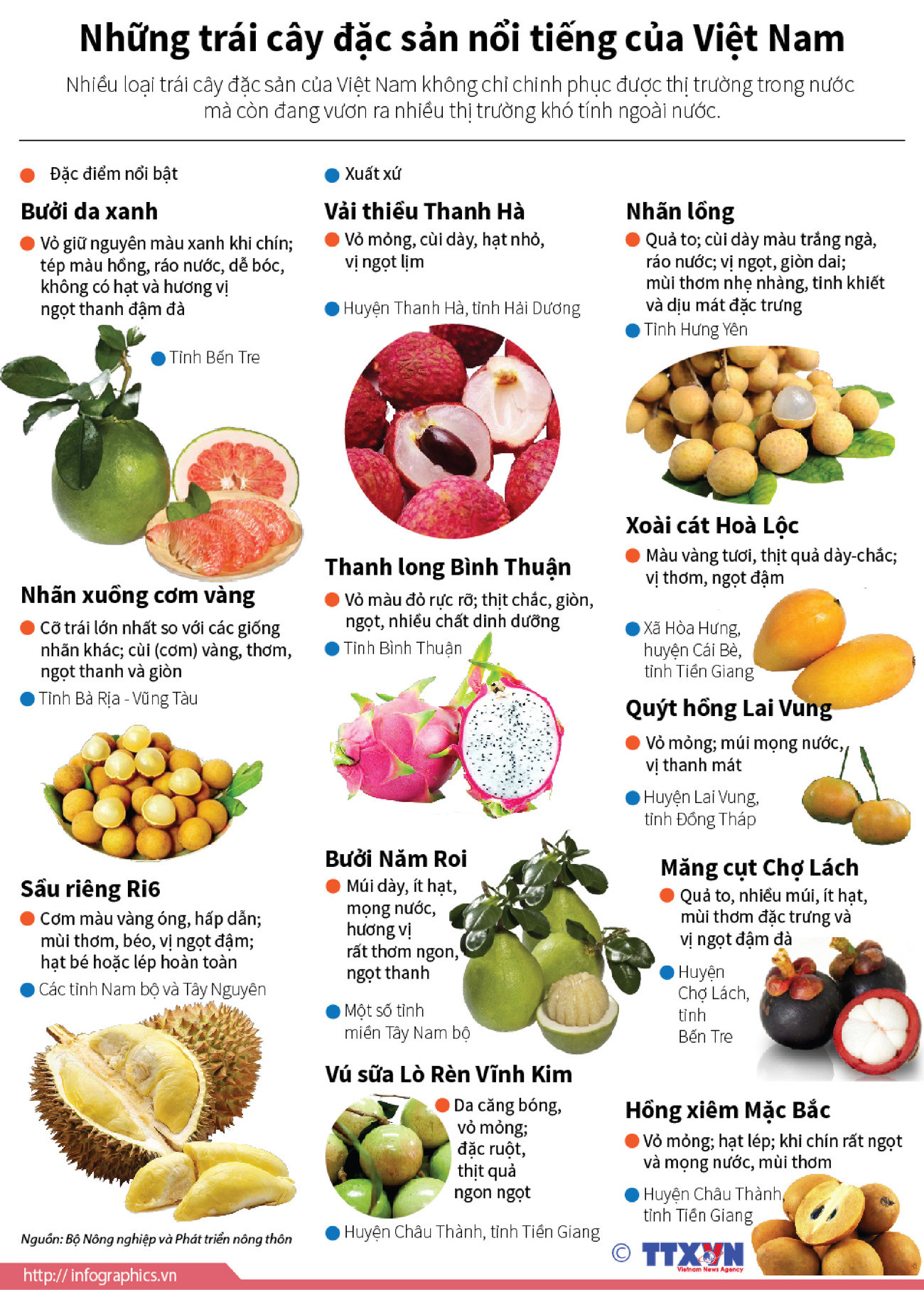 [Infographics] Những trái cây đặc sản nổi tiếng của Việt Nam ảnh 1