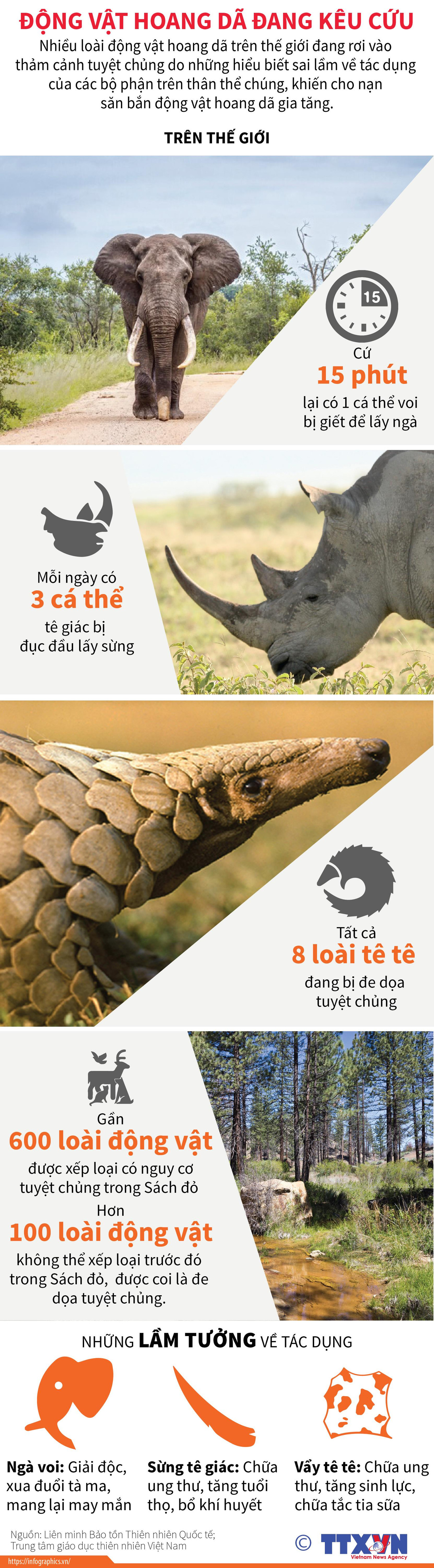 Nhiều động vật hoang dã trên thế giới đang rơi vào cảnh tuyệt chủng ảnh 1