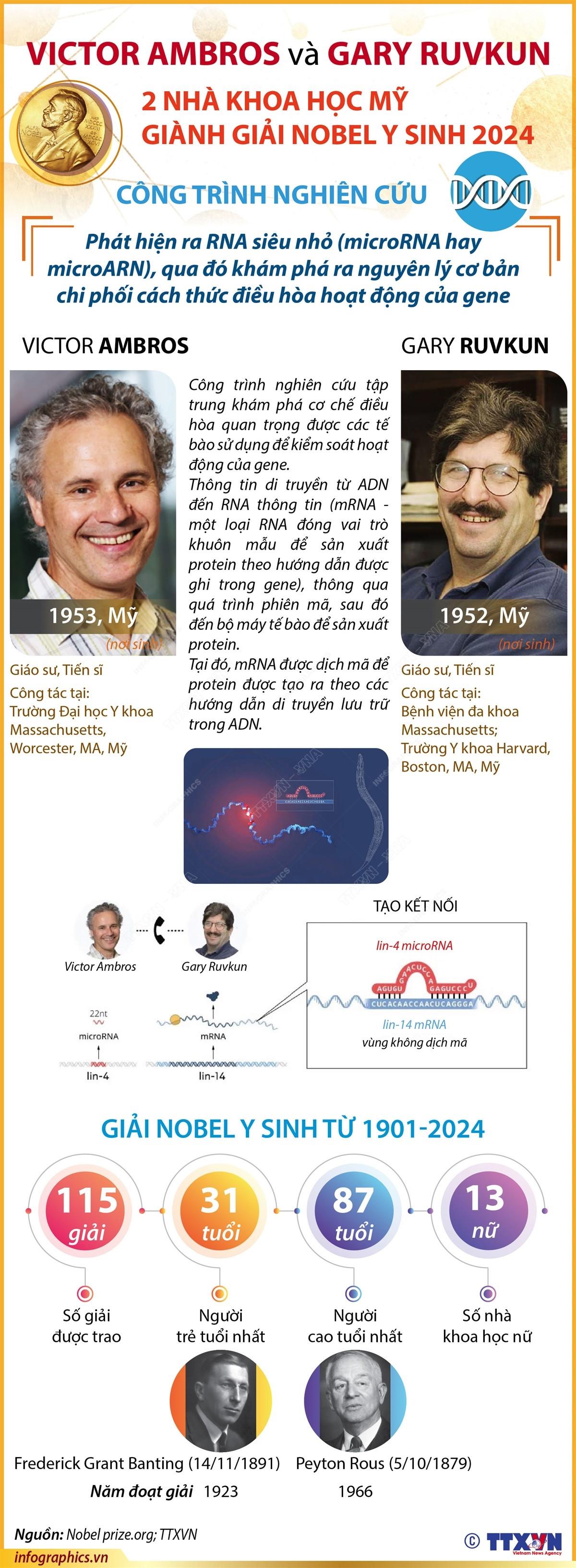 vna_potal_giai_nobel_y_sinh_2024__vinh_danh_2_nha_khoa_hoc_nguoi_my__victor_ambros_va_gary_ruvkun.jpg