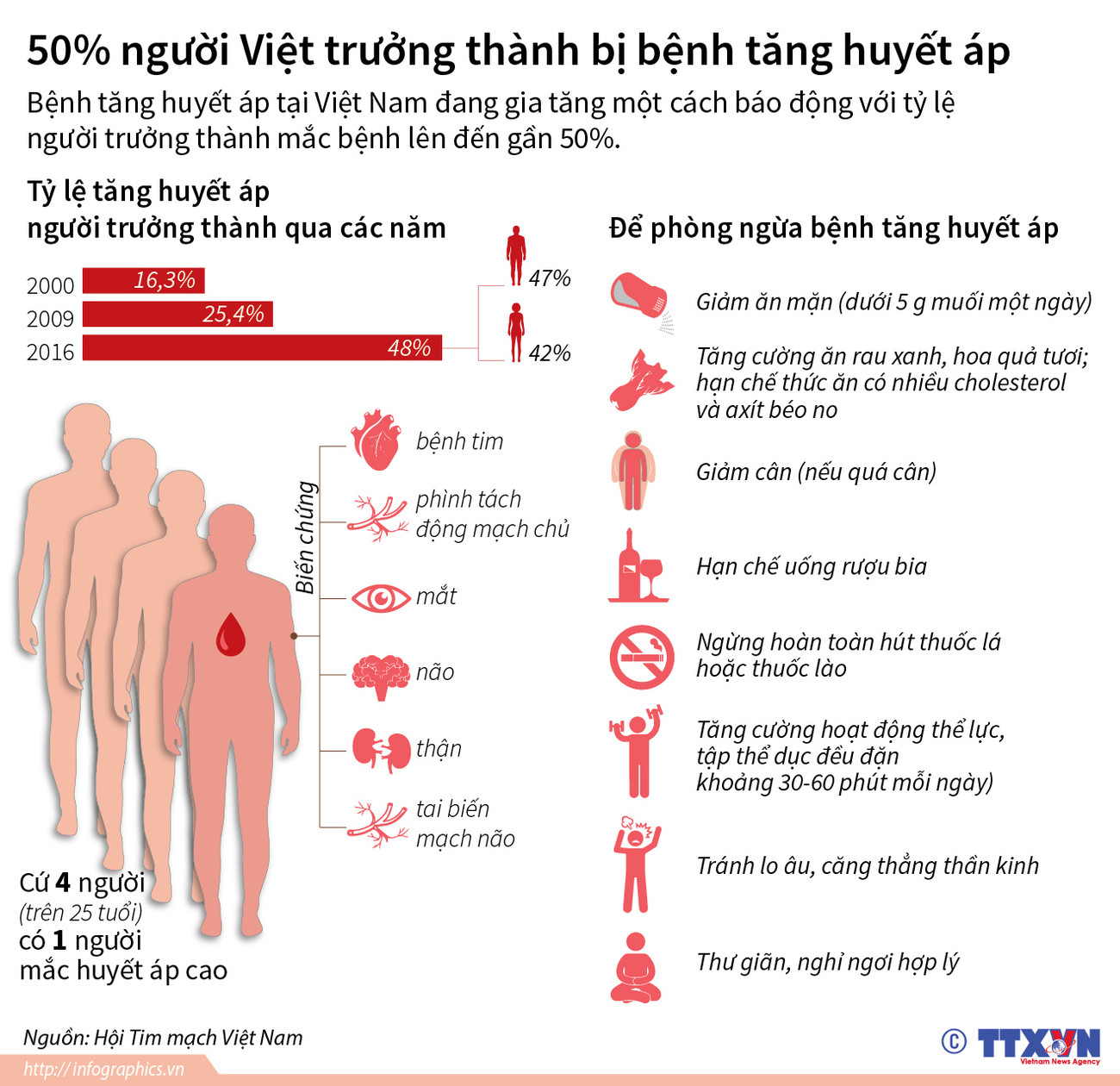 [Infographics] 50% số người Việt trưởng thành bị bệnh tăng huyết áp ảnh 1
