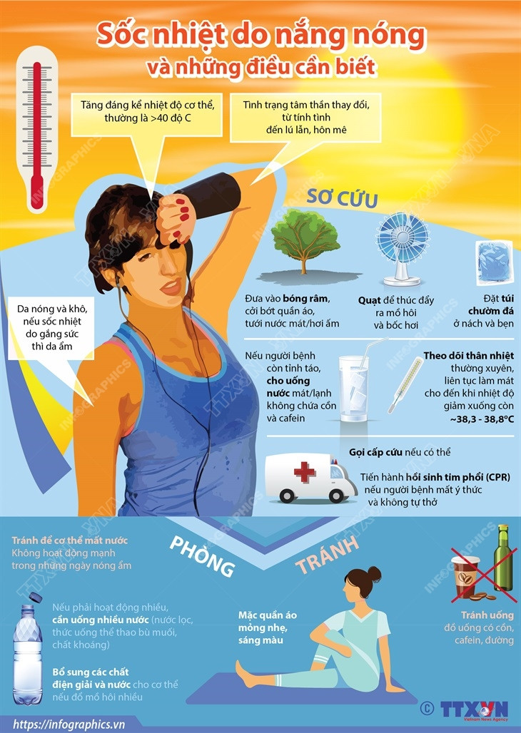 [Infographics] Sốc nhiệt do nắng nóng và những điều cần biết ảnh 1
