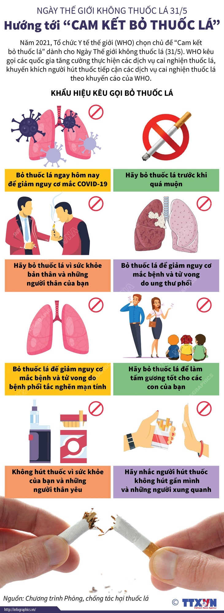 Ngày Thế giới không thuốc lá: Hướng tới cam kết bỏ thuốc lá ảnh 1