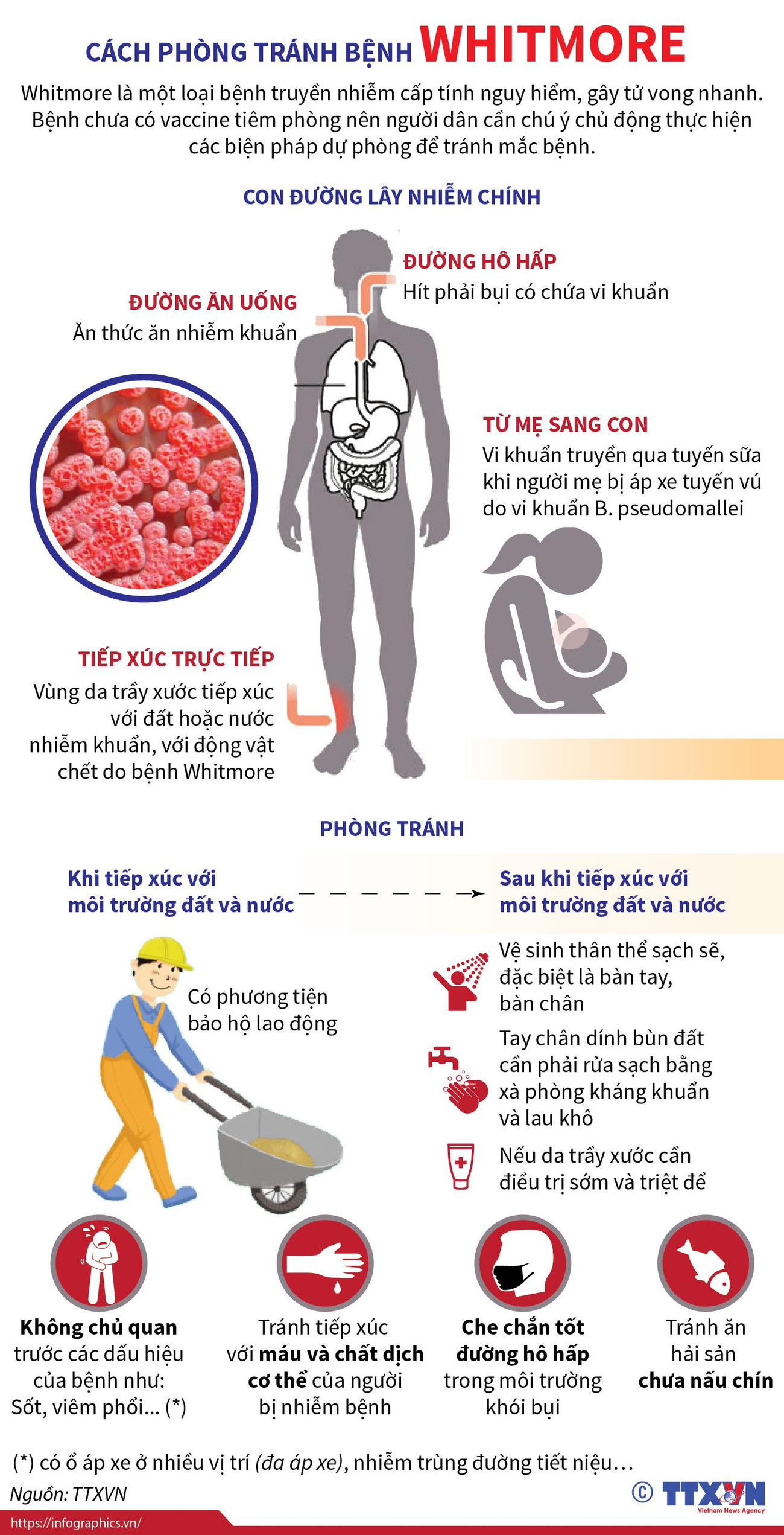 [Infographics] Những cách phòng tránh bệnh Whitmore nguy hiểm ảnh 1