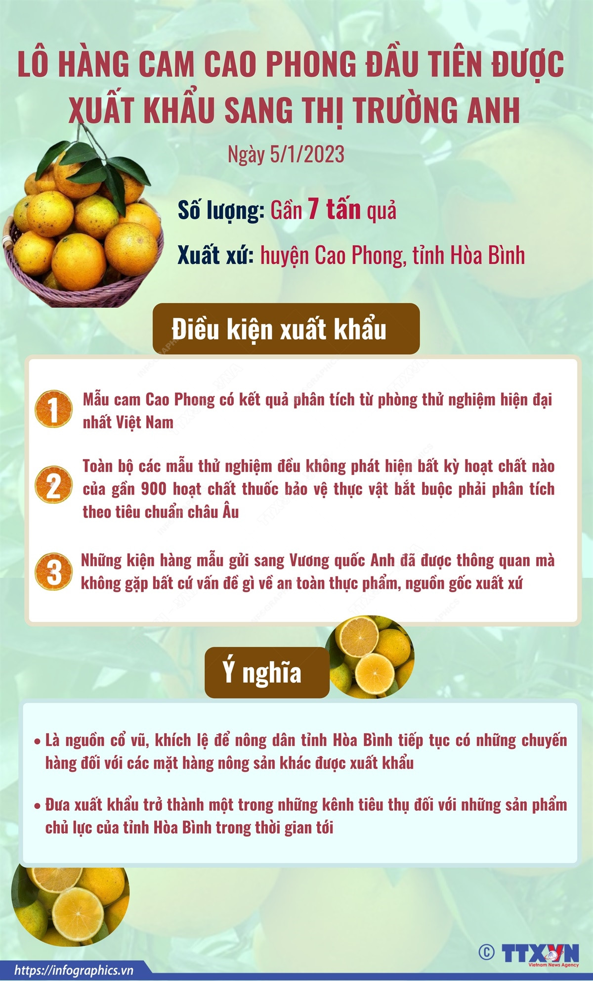 [Infographics] Xuất khẩu gần 7 tấn cam Cao Phong đầu tiên sang Anh ảnh 1